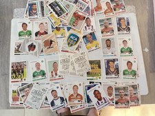 Panini foot 2013 d'occasion  Munster