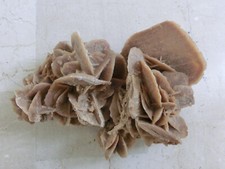 Sandrose wüstenrose kg gebraucht kaufen  Leverkusen