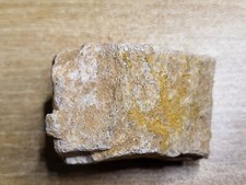 Dinosaur bone kem for sale  SOLIHULL