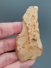 Neanderthal middle paleolithic d'occasion  Bonneville