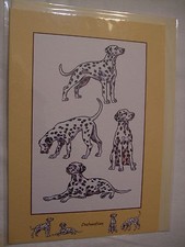 Carte chien dalmatien d'occasion  Troyes