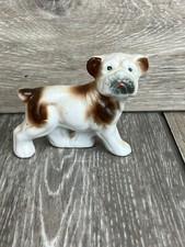 English bulldog dog for sale  Murphy