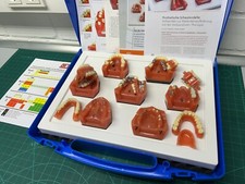 Godent schaumodelle komplettes gebraucht kaufen  Straelen