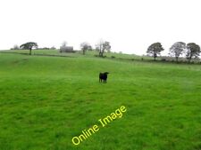 Photo 6x4 lone for sale  FAVERSHAM