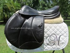 17.5 voltaire palm for sale  Saint Augustine