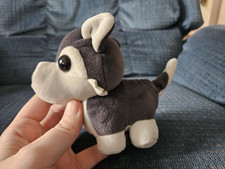 Adopt plush husky for sale  Aurora