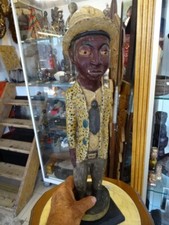 Colon africain 50cm d'occasion  Frejus