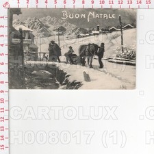 H8017 illustratore polli usato  Como
