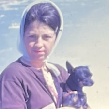 Color 35mm slides for sale  Albuquerque