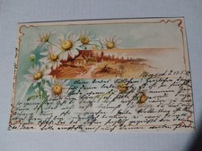 Stargard pommern lithographie gebraucht kaufen  Neckarsulm