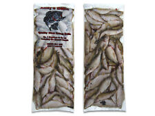 Roach 1kg packet for sale  PORTSMOUTH