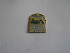 Pins renault supercinq d'occasion  Riom