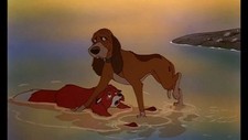 Walt disney fox for sale  Cicero