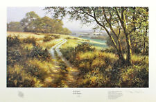 David dipnall evening for sale  UK