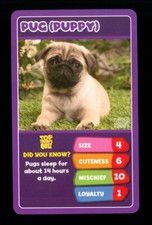 Info card baby for sale Info card baby for sale  EASTBOURNE