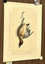 Affiche venerie sarcelle d'occasion  Craponne