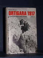 Gianni pieropan ortigara usato  Verona