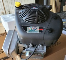 Briggs stratton 21r807 for sale  Tecumseh