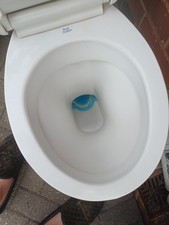 royal doulton toilet for sale  ATHERSTONE