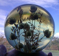 Paperweight ornament. flax for sale  SETTLE
