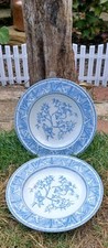 Daffodil staffordshire england for sale  TENTERDEN