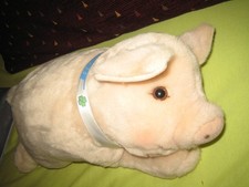 Steiff bose schweinchen gebraucht kaufen  Greven
