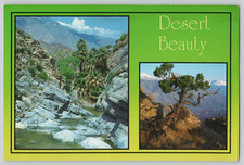 Desert beauty california for sale  Oneonta