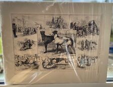 Dog greyhound named for sale  KINROSS