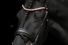 Trense belfast rosegold gebraucht kaufen  Kirn