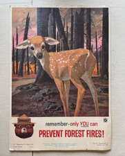 Vintage 1961 smokey for sale  West Wardsboro