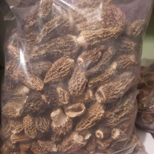 Funghi morel liofilizzati usato  Spedire a Italy