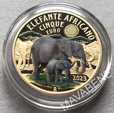 Italia 2023 elefante usato  Bologna