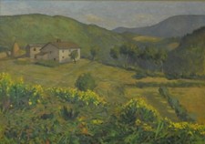 Giovanni malesci veduta usato  Milano