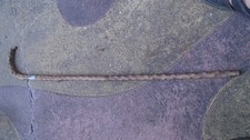 Antique natural thorn for sale  BRISTOL