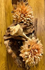 Vintage seashell sea for sale  Renton