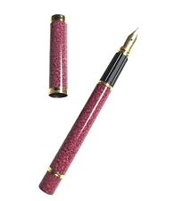 Penna stilografica waterman usato  Torino