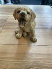labrador puppies golden for sale labrador puppies golden for sale  IPSWICH