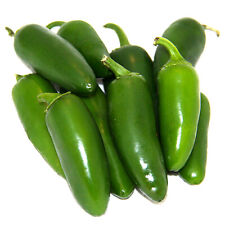 Early jalapeno pepper for sale  Tarpon Springs