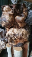 Skulptur naturholz baum gebraucht kaufen  Lychen