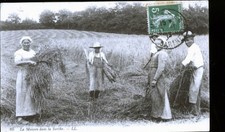 Sarthe moisson d'occasion  Reims