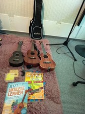 Ukulelen set zubehör gebraucht kaufen  Schleswig