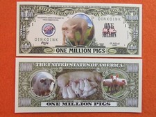 Bills pigs piglets for sale  North Bend