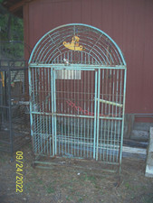 Large macaw parrot for sale  Days Creek