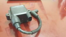 Mercury optimax 225 usato  Roma