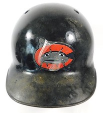 Carolina mudcats team for sale  Rochester