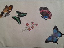 Dessin ancien 19ème d'occasion  Locminé
