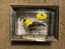 takara bird for sale takara bird for sale Danville