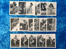 Bunny yeager bettie for sale  KIDDERMINSTER