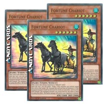Fortune chariot super usato  Ravenna