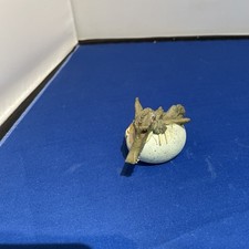 dinosaur eggs for sale dinosaur eggs for sale BASINGSTOKE